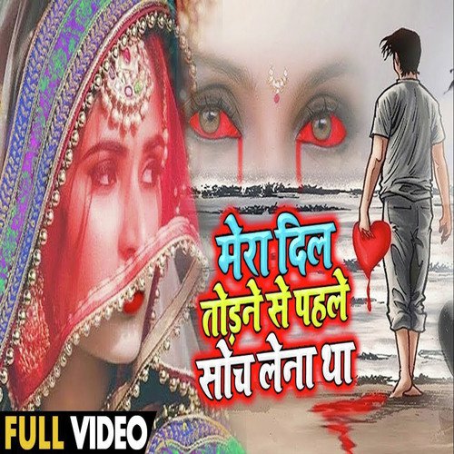 Mera dil Todane Se Pahale Soch Lena Tha by Madhavi Shrivastava - Download on PagalFree