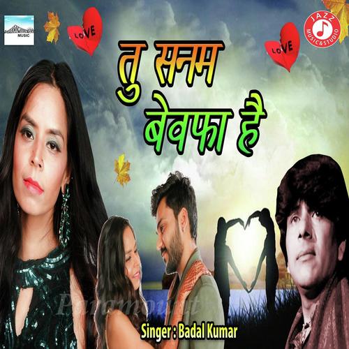 Tu Sanam Bewafa Hai by Nitin Barot - Download on PagalFree