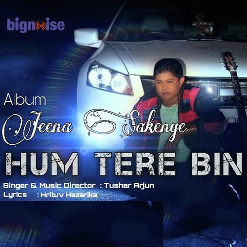 Hum Tere Bin by Jasbir Mannat, Vikay Boss - Download on PagalFree