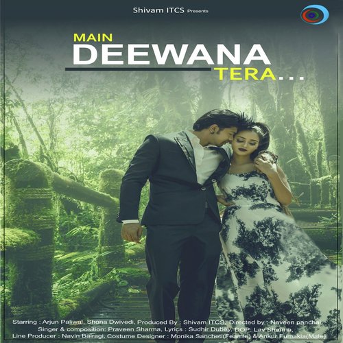 Main Deewana Tera by Praveen Sharma - Download on PagalFree