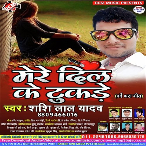 Dil Lagane Ki Saja Hai by Shasi Lal Yadav - Download on PagalFree
