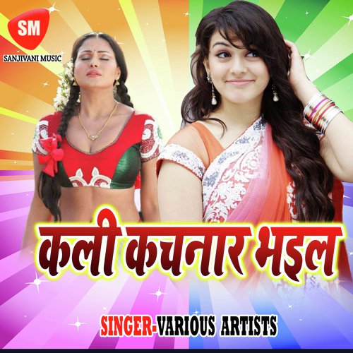 Gauna Kara Ke Sakhi by Harishankar, Tamatar Lal Yadav, Indu Singh - Download on PagalFree