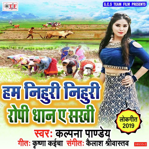 Ham Nihuri Nihuri Ropi Dhan by Kalpana Pandey - Download on PagalFree