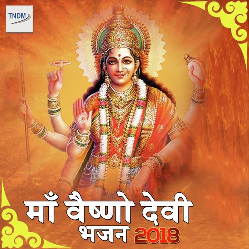 Main Hu Deewana Maa Tere Dwar Ka by Various Artists - Download on PagalFree