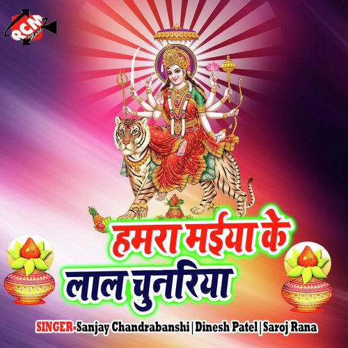 Re Bhai by Sanjay Chandrabanshi, Dinesh Patel, Saroj Rana - Download on PagalFree