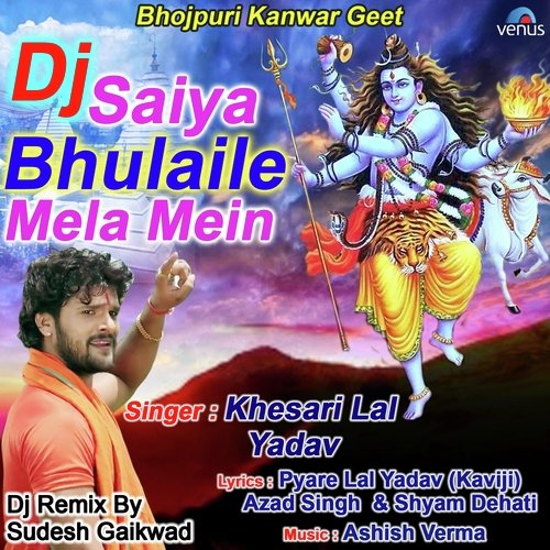 Dj Saiya Bhulaile Mela Mein by Kallu Diwana - Download on PagalFree