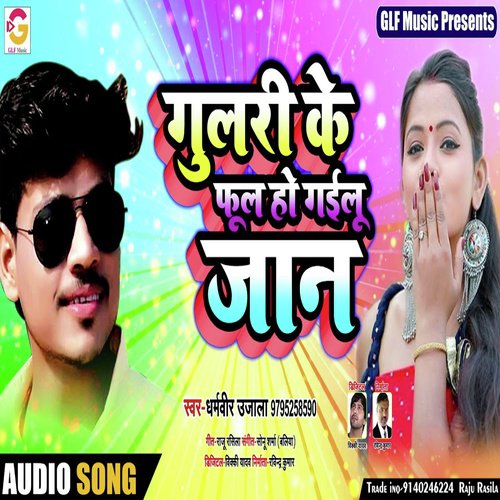 Gulari Ke Phool Ho Gailu Jaan by Dharmveer Ujala - Download on PagalFree