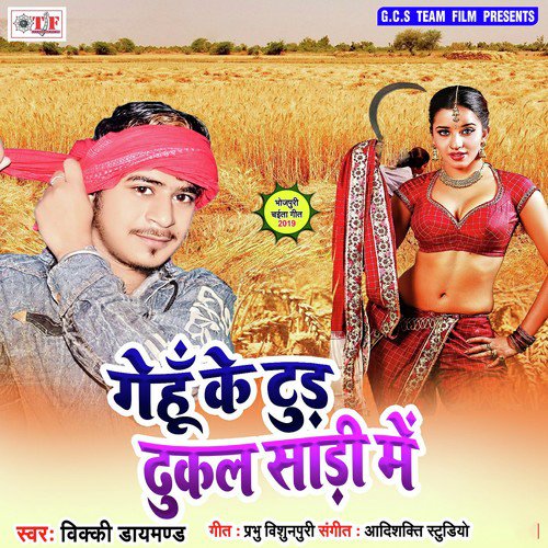 Genhu Ke Tud Tutal Sadi Me by Vicky Diamond - Download on PagalFree