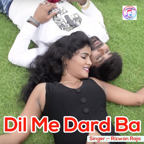 Dil Me Dard Ba by Rizwan Raja - Download on PagalFree