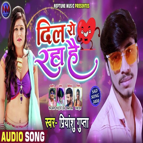 Dil Ro Raha Hai by Priyanshu Gupta - Download on PagalFree