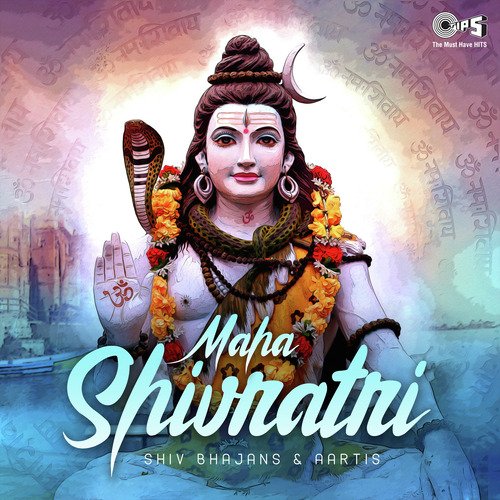 Hey Shiv Shankar (From Shiv Sagar Barah Jyotirling Part 2) by Various Artists - Download on PagalFree