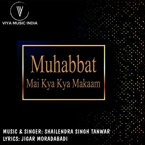 Muhabbat Mai Kya Kya Makaam by Shailendra Singh Tanwar - Download on PagalFree