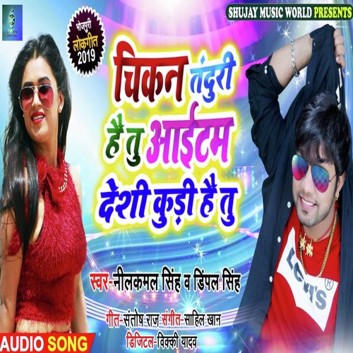 Chikan Tanduri Hai Tu Item Desi Kudi Hai Tu by Dimpal Singh amp Neelkamal Singh - Download on PagalFree