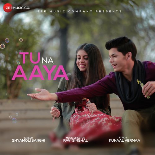 Tu Na Aaya by Aditya Agrahari, Anas Petiwala - Download on PagalFree
