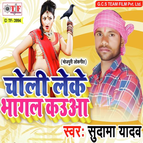 Bhitari Le Dale Pichakari Da by Sudama Yadav - Download on PagalFree