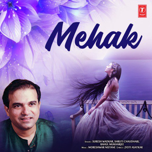 Tum Chale Gaye To by Shruti Chaudhari, Rahul Mukharjee, Suresh Wadkar - Download on PagalFree