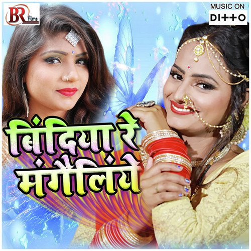Delhi Se Bhaiya Ke Baru Bolawale by Sbr Raju - Download on PagalFree