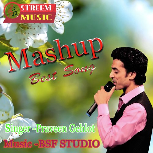 Mashup Best Song by Praveen Gehlot - Download on PagalFree