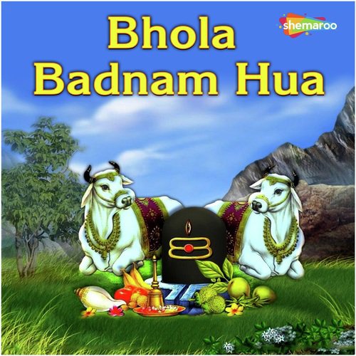 Bola Ha Karbu Ki Na by Saleem - Download on PagalFree