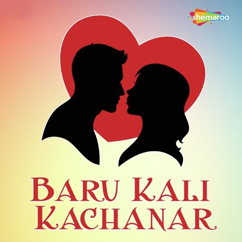 Aai Ho Dada Kaisan by Sunny Singh - Download on PagalFree