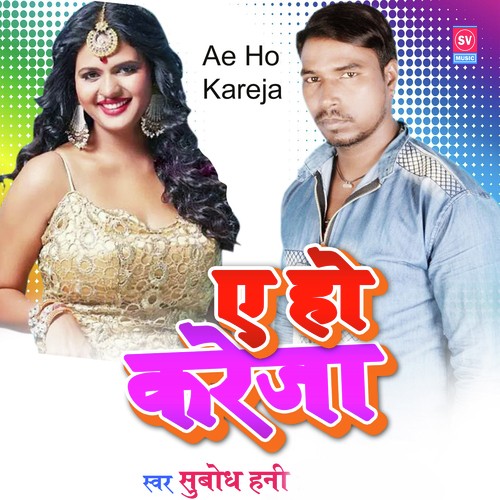 Ae Ho Kareja by Subodh Honey - Download on PagalFree