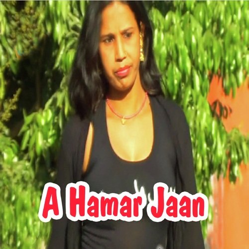 Raja Jaldi Ghare Chal Aiba by Nitesh Nirmal - Download on PagalFree