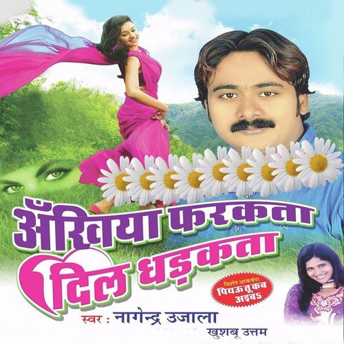 Dil Chir Char Ke Chal Gailu by Nagendra Ujala, Khushboo Uttam, Nagendra Ujala, Khushboo Uttam - Download on PagalFree