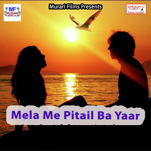 Raur Darbar Me Sab Aawela by Various Artists - Download on PagalFree