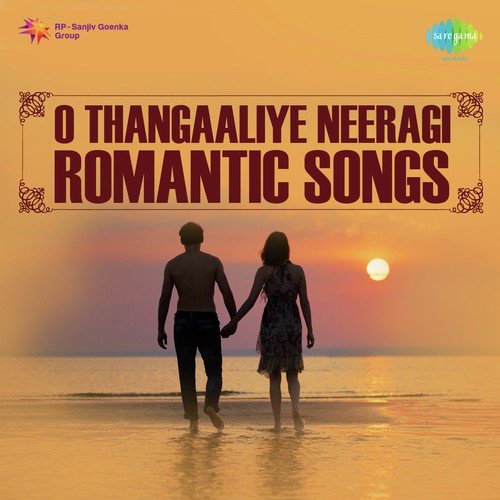 Sanyaasi Sanyaasi (From Edakallu Guddada Mele) by Various Artists - Download on PagalFree