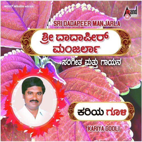 Sarirravva-Kariya Gooli by Dadapeer Manjarla - Download on PagalFree