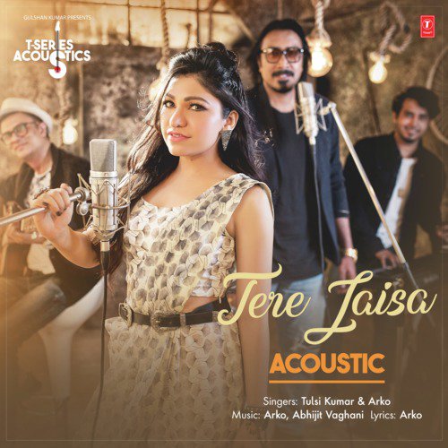 Tere Jaisa Acoustic by Hamza Malik - Download on PagalFree