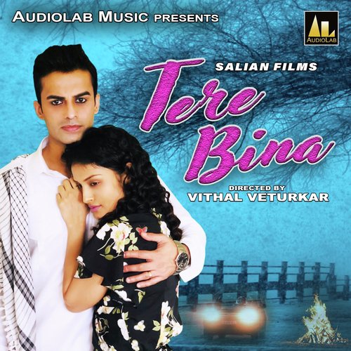 Tere Bina by Mimi Chakraborty - Download on PagalFree