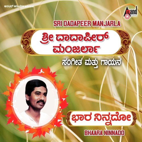Jaananembeno Avana by Dadapeer Manjarla - Download on PagalFree