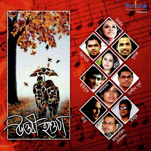 Bhishon Dekhte Ichchhe Kore by Various Artists - Download on PagalFree