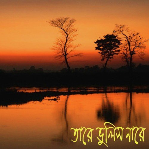 O Brinde Lolite by Various Artists - Download on PagalFree