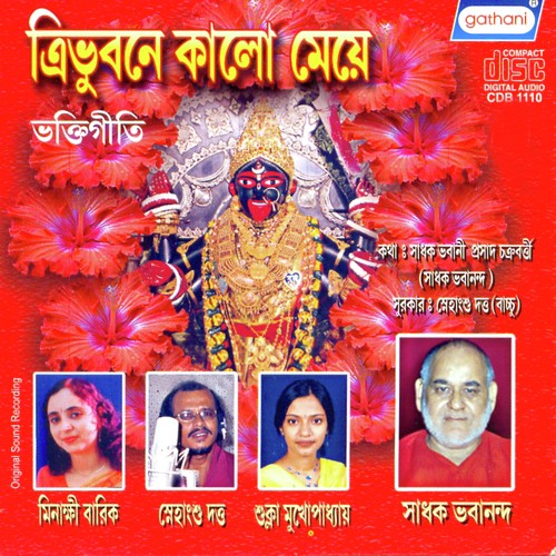 Maa Hoy Nirakara by Snehangsu Dutta - Download on PagalFree