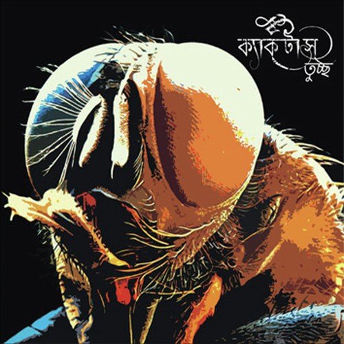 Phire Chayoa by Cactus - Download on PagalFree