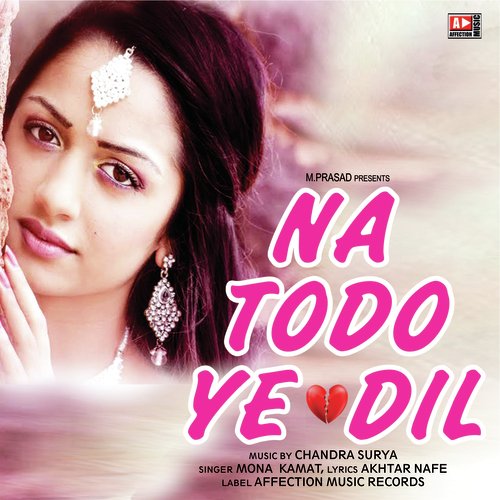 Na Todo Ye Dil by Mona Kamat - Download on PagalFree