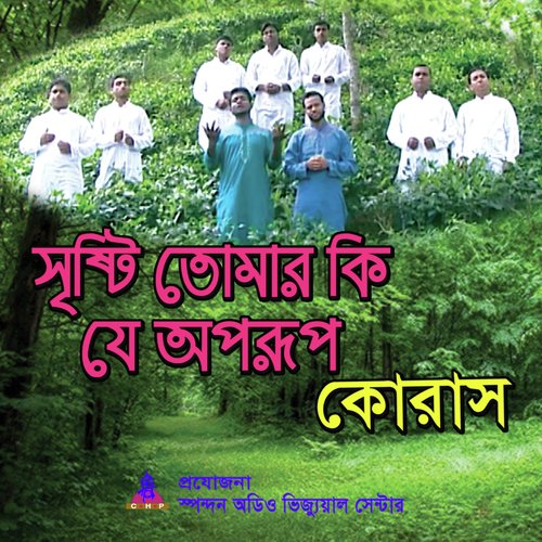 Sristi Tomar Kije Oporup by Mahmudur Rahman Delwar - Download on PagalFree