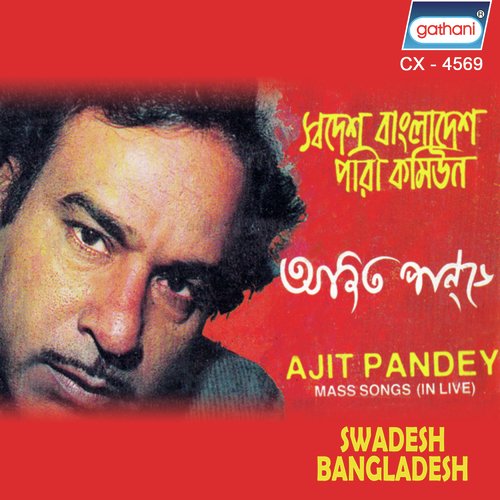Bangla Bhasa Uchcharito Hole by Ajit Pandey - Download on PagalFree