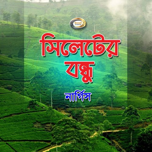 Bidesh Giya Bhalo Theko by Nargis - Download on PagalFree