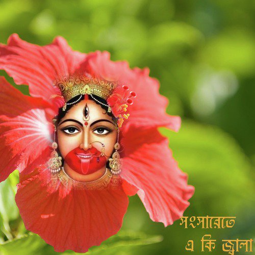 Tara Mondire Cholo by Payel Mukherjee - Download on PagalFree