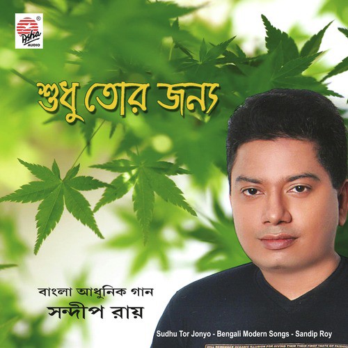 Ki Je Ki Holo by Sandip Kumar Roy - Download on PagalFree