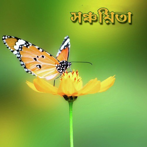 Proshno Uttor by Various Artists - Download on PagalFree