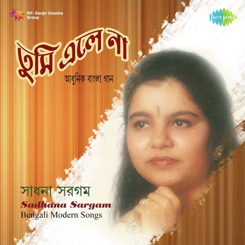 Aaste Mana by Sadhana Sargam - Download on PagalFree