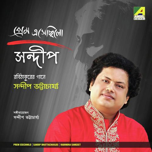 Pub Hawate Dey Dola by Sandip Bhattacharjee - Download on PagalFree