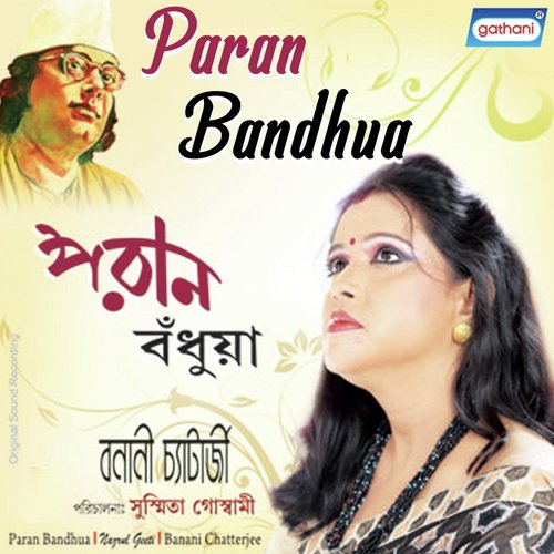 Nilambari Shari Pori by Kazi Nazrul Islam - Download on PagalFree
