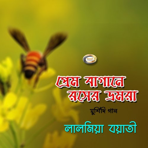 Bohudin Hoyeche Tomar by Lal Miya - Download on PagalFree