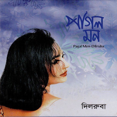 Dine Bohudin by Dilruba Khan - Download on PagalFree