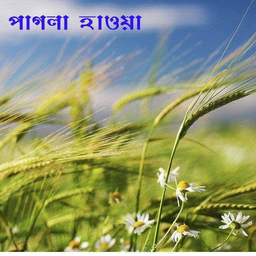 Sunbe Ki Tumi by Various Artists - Download on PagalFree